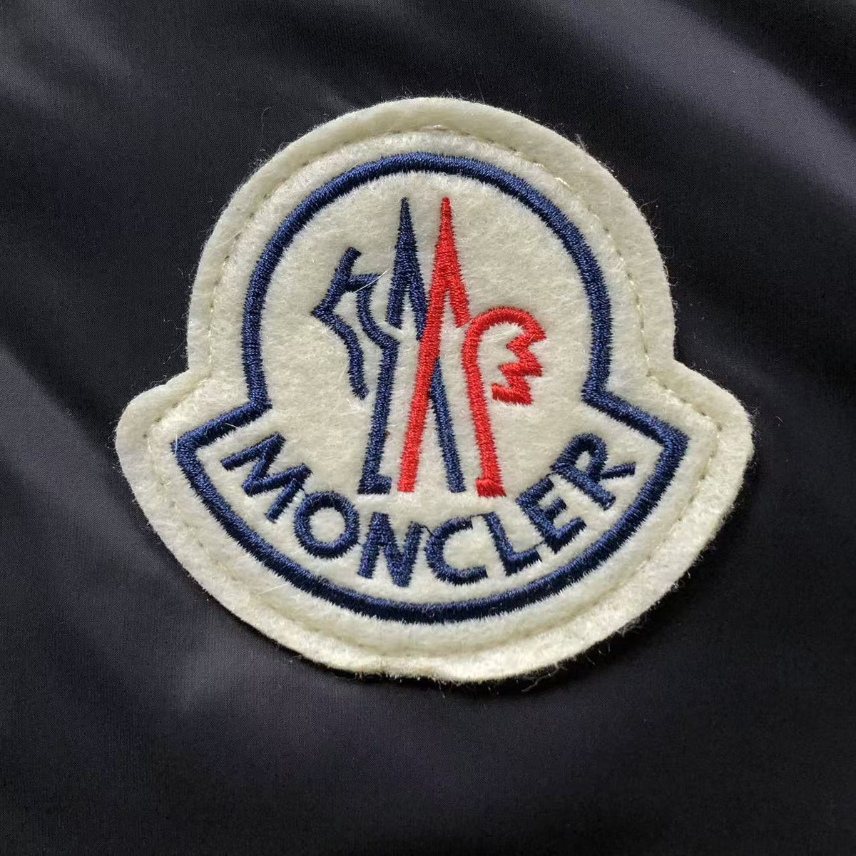 Moncler Citala Down Jacket in Black