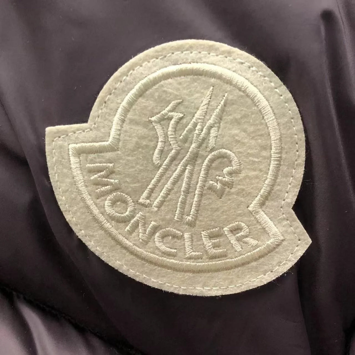 Moncler Cyclone Down Jacket in Brown