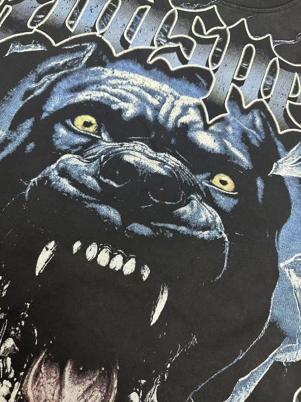 Godspeed Panther Graphic Washed Black T-Shirt